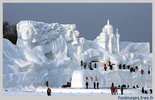 funimages image photo insolite humour climat froid neige hiver